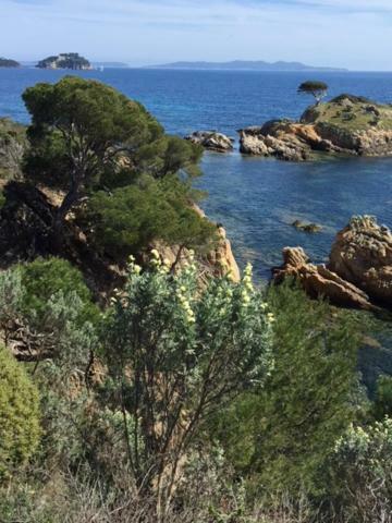 Ecrin De Verdure Sur Le Lavandou - Classement Tourisme 3 Etoiles Екстер'єр фото